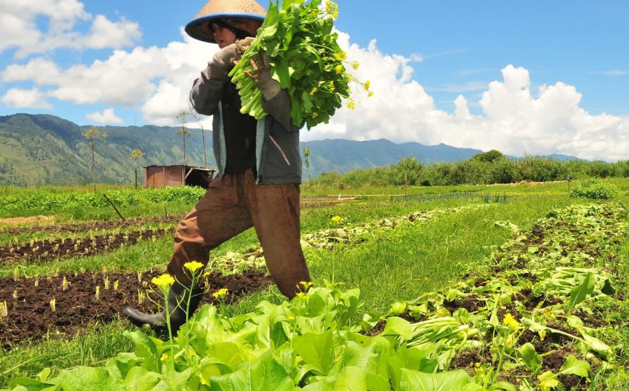 Kadin Pertanian Harus Jadi Tulang Punggung Ekonomi Indonesia Pt