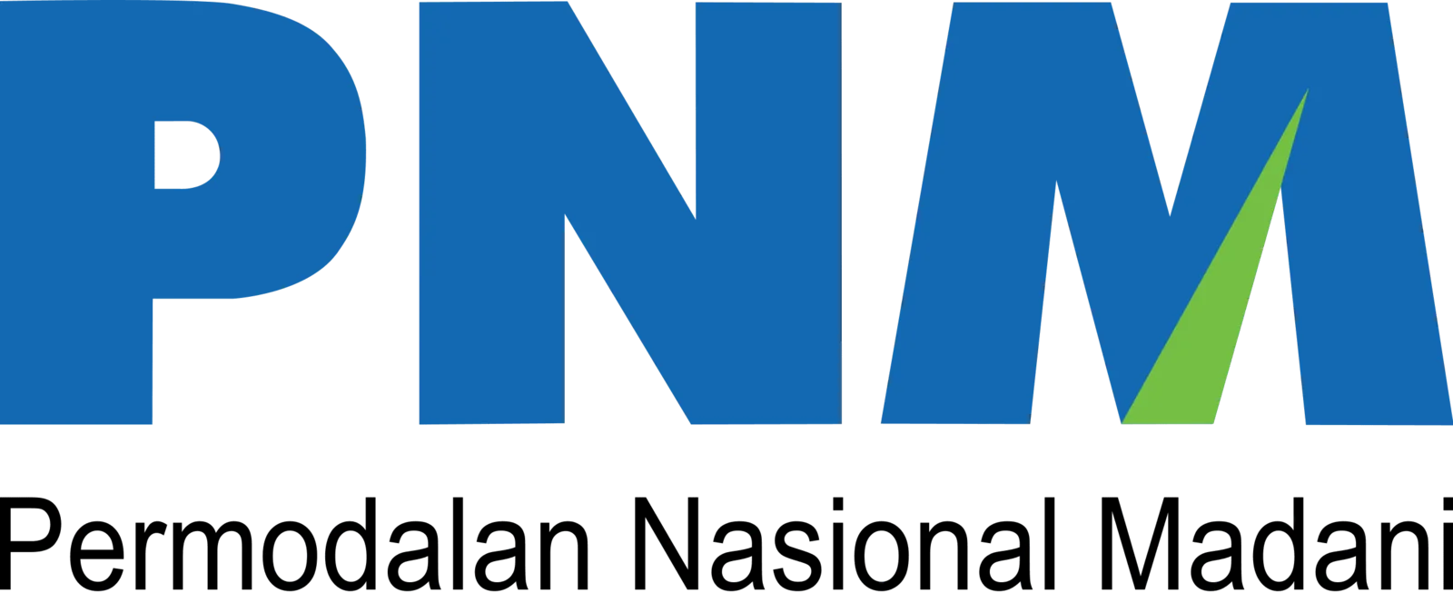 Logo PNM